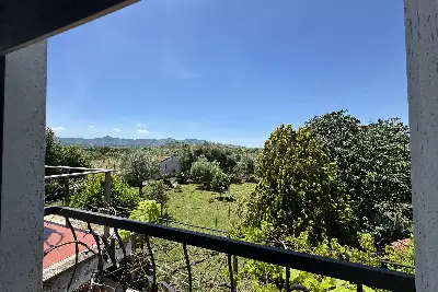 Villa in vendita, via colle cancellata grande , Zagarolo