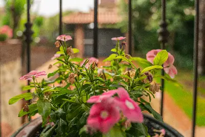 Villa in vendita, Via Antonello da Messina, San Gregorio di Catania