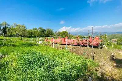 Agricolo in vendita, Via delle foreste, Manocalzati, Manocalzati
