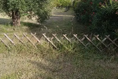Agricolo in vendita, loc. molignano Orte (VT), Orte