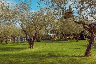 Villa in vendita, SP 291 Sassari - Fertilia , Sassari