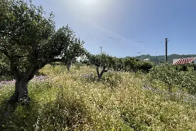 Agricolo in vendita, Piano Torre Spartà, Messina