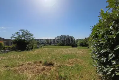 Agricolo in vendita, Via Carezzano, Roma