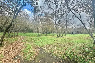 Agricolo in vendita, Via Belle Donne, Cesinali