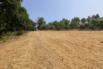 Edificabile Commerciale in vendita, Via Attilio Barriera, Fiumicino