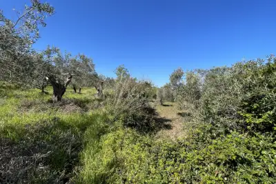 Rustico in vendita, Strada Provinciale 50, Messina