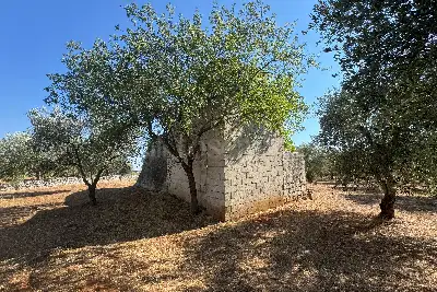 Villa in vendita, contrada Santa Caterina Grottone, Ostuni