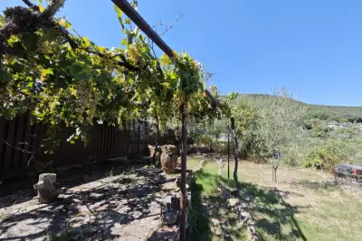 Casa in vendita, Via Valli, Sovicille