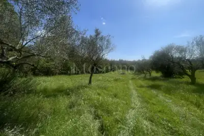Agricolo in vendita, Strada Cassia Sud, Viterbo
