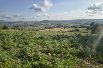 Agricolo in vendita, Contrada Martognella, Valderice