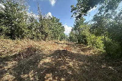 Agricolo in vendita, San Leucio, Vaccheria, Caserta