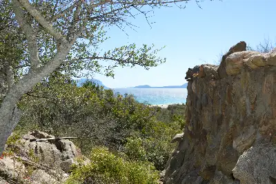Villa in vendita, Cala sassari, Golfo Aranci