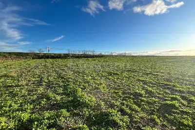 Agricolo in vendita, zona Macchione, Cerignola