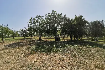 Casa in vendita, Località Brucciano S.Rocco a Pilli, Sovicille