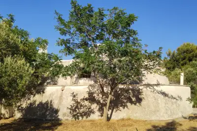 Casa Indipendente in vendita, Contrada Grottone, Ostuni