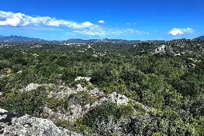 Agricolo in vendita, Telti via Monti Longu., Telti