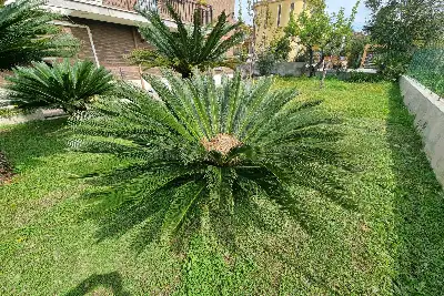 Casa Indipendente in vendita, Via Enrico Brunn, Roma