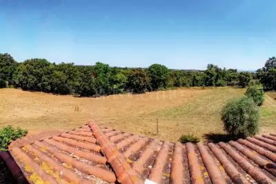 Villa in vendita, strada Loiano, Gallese