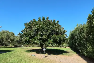 Casa Indipendente in vendita, Strada Vicinale Maccia Guletta, Sassari