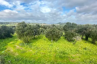 Edificabile Residenziali in vendita, Via Gallura snc, Montelittu, Loiri Porto San Paolo
