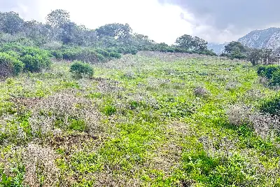 Agricolo in vendita, Loc. Caldosu, Sant'Antonio di Gallura