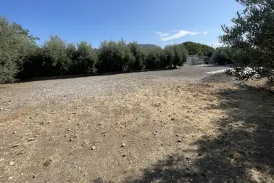 Agricolo in vendita, Vicolo Parisi a Cruillas, Palermo