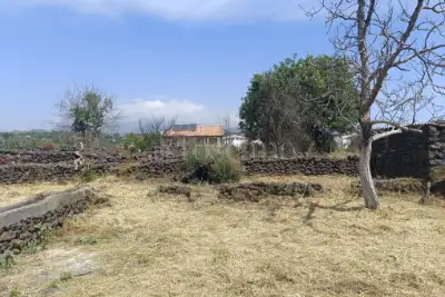 Agricolo in vendita, Via Madonna di Loreto, San Giovanni la Punta