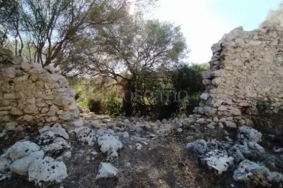 Agricolo in vendita, Noto, Noto