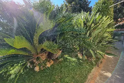 Casa in vendita, VIA BORMIDA 9, Ardea