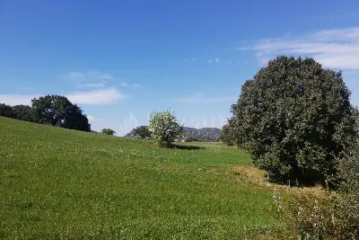Agricolo in vendita, Loc Graminatoggiu , Loiri Porto San Paolo