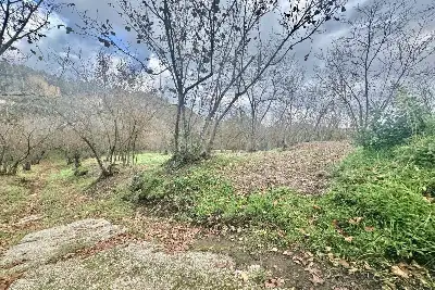 Agricolo in vendita, Via Belle Donne, Cesinali