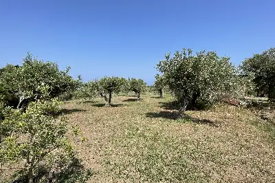 Agricolo in vendita, Piano Torre Spartà, Messina