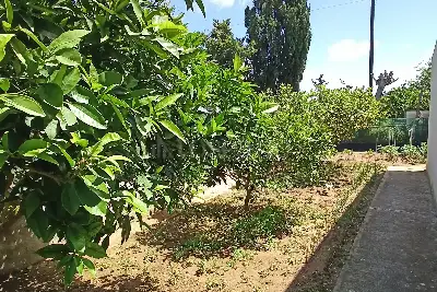 Casa Indipendente in vendita, Contrada Cardilla 24, Marsala