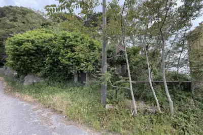 Agricolo in vendita, Via San Cosimo, Messina