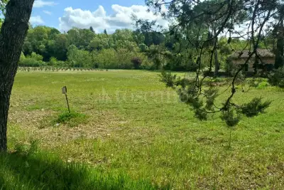 Casa Indipendente in vendita, Castelnuovo Berardenga, Castelnuovo Berardenga