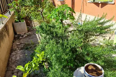 Casale in vendita, Via Giovanni Mazzucconi, Roma