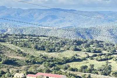 Agricolo in vendita, SANT'ANTONIO DI GALLURA , Sant'Antonio di Gallura