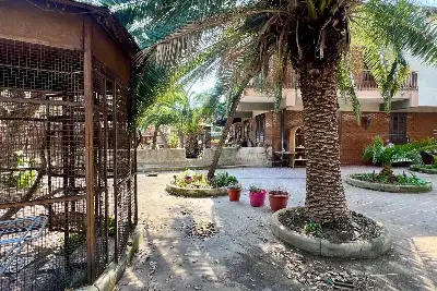 Villa in vendita, Via delle Querce, Gravina di Catania