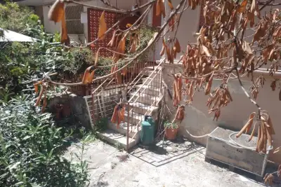 Casa in affitto, Via Abruzzi, Palermo