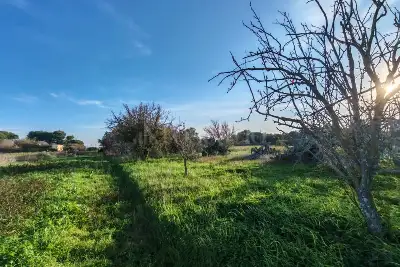 Capannone in vendita, SS16, Brindisi