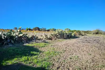 Agricolo in vendita, Località Li Paddimi, Castelsardo