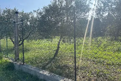 Agricolo in vendita, Via Francesco Baracca , Martinsicuro, Martinsicuro