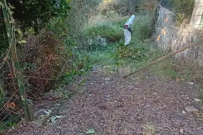 Agricolo in vendita, varazze via Quinno, Varazze