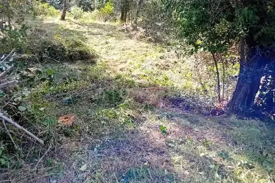 Agricolo in vendita, varazze via Quinno, Varazze