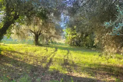 Agricolo in vendita, Via delle Fornaci, Monterotondo