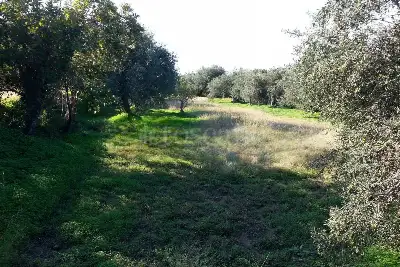 Rustico in vendita, Strada Provinciale 50, Messina