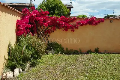 Casa in vendita, Viale di Castel Porziano, Roma