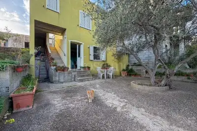 Casa Indipendente in vendita, SP24, Torpè