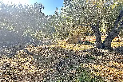 Edificabile Residenziali in vendita, Trudda via Angona, Loiri Porto San Paolo