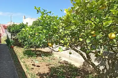 Casa Indipendente in vendita, Contrada Cardilla 24, Marsala